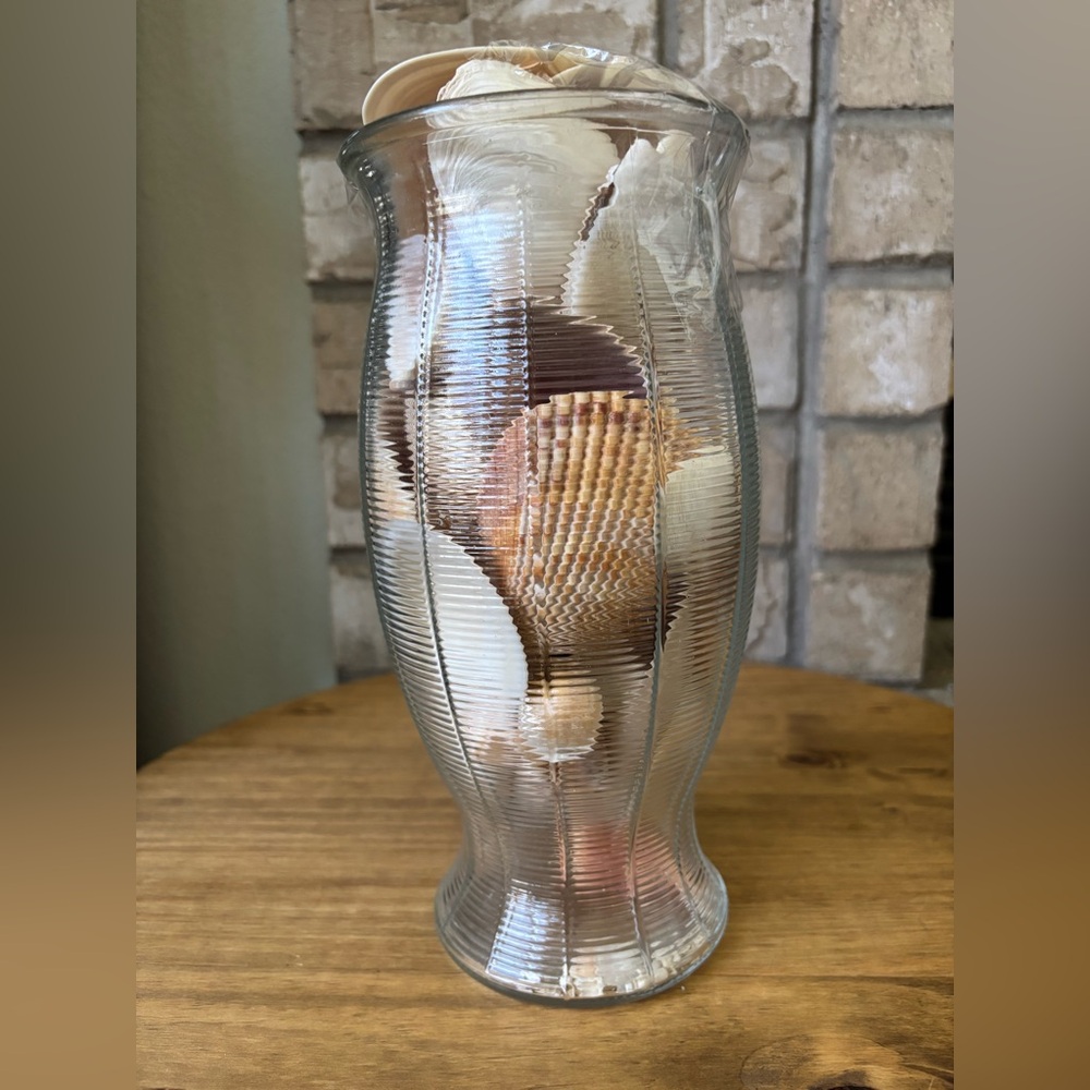 Glass Hurricane‎ Vase filled with Coastal Sea Shell Collection Beach Decor 9.6"